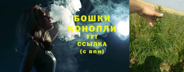 бошки Дмитриев