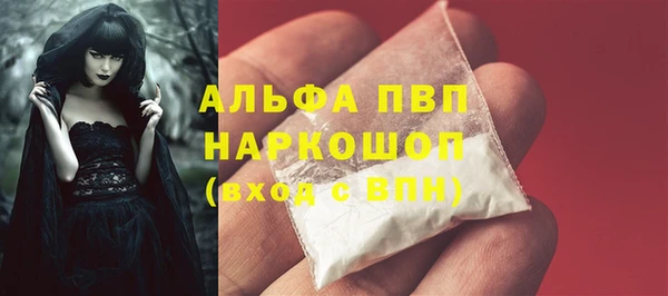 бошки Дмитриев