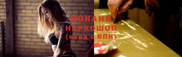 стаф Дмитров