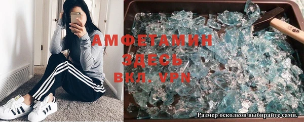 стаф Дмитров