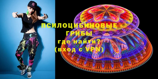 бошки Дмитриев