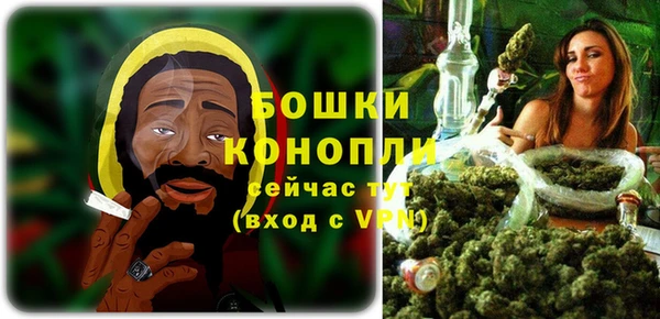 бошки Дмитриев