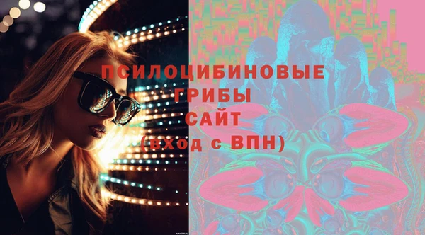 стаф Дмитров