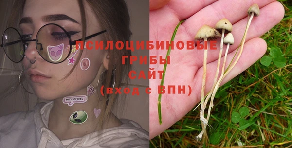 эйфоретик Дмитровск
