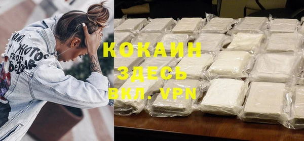 стаф Дмитров