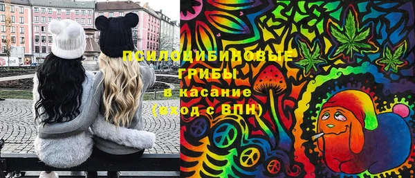 бошки Дмитриев