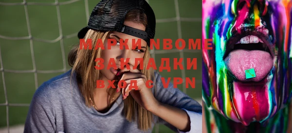 стаф Дмитров
