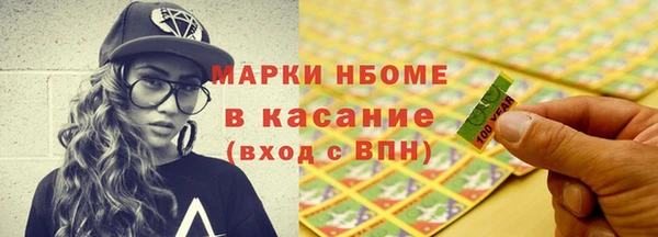 стаф Дмитров